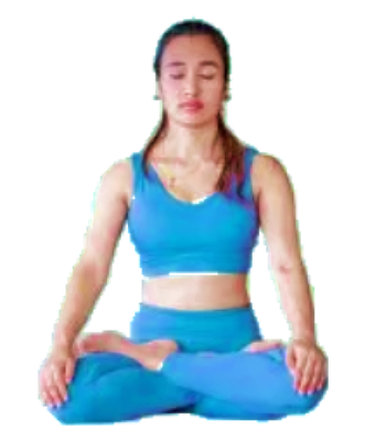 Je bekijkt nu <span class="hpt_headertitle">Padmasana</span>